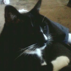 Meet your Posher, Angie